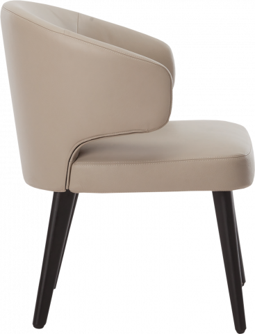 Aston Dining Chair