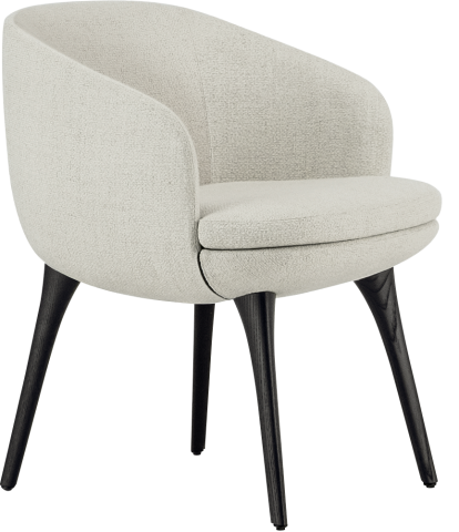 Raphael Dining Chair