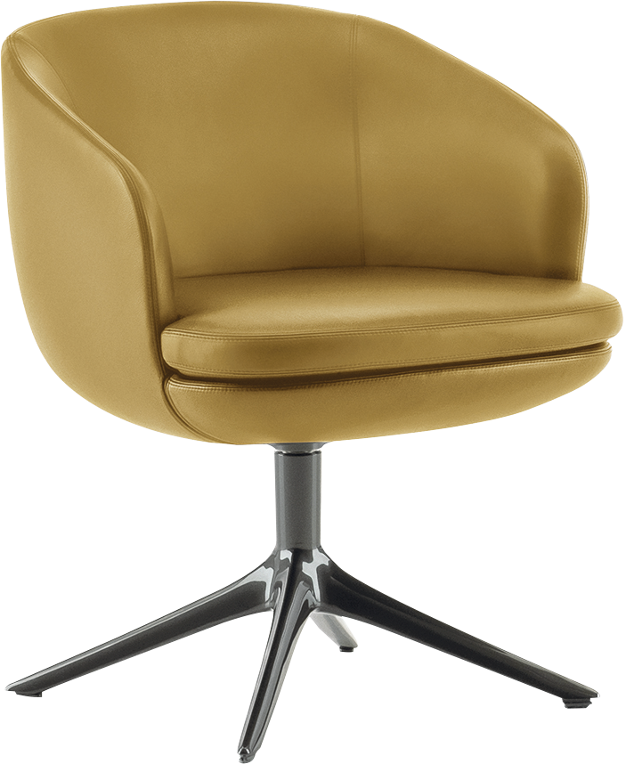 Raphael Dining Chair